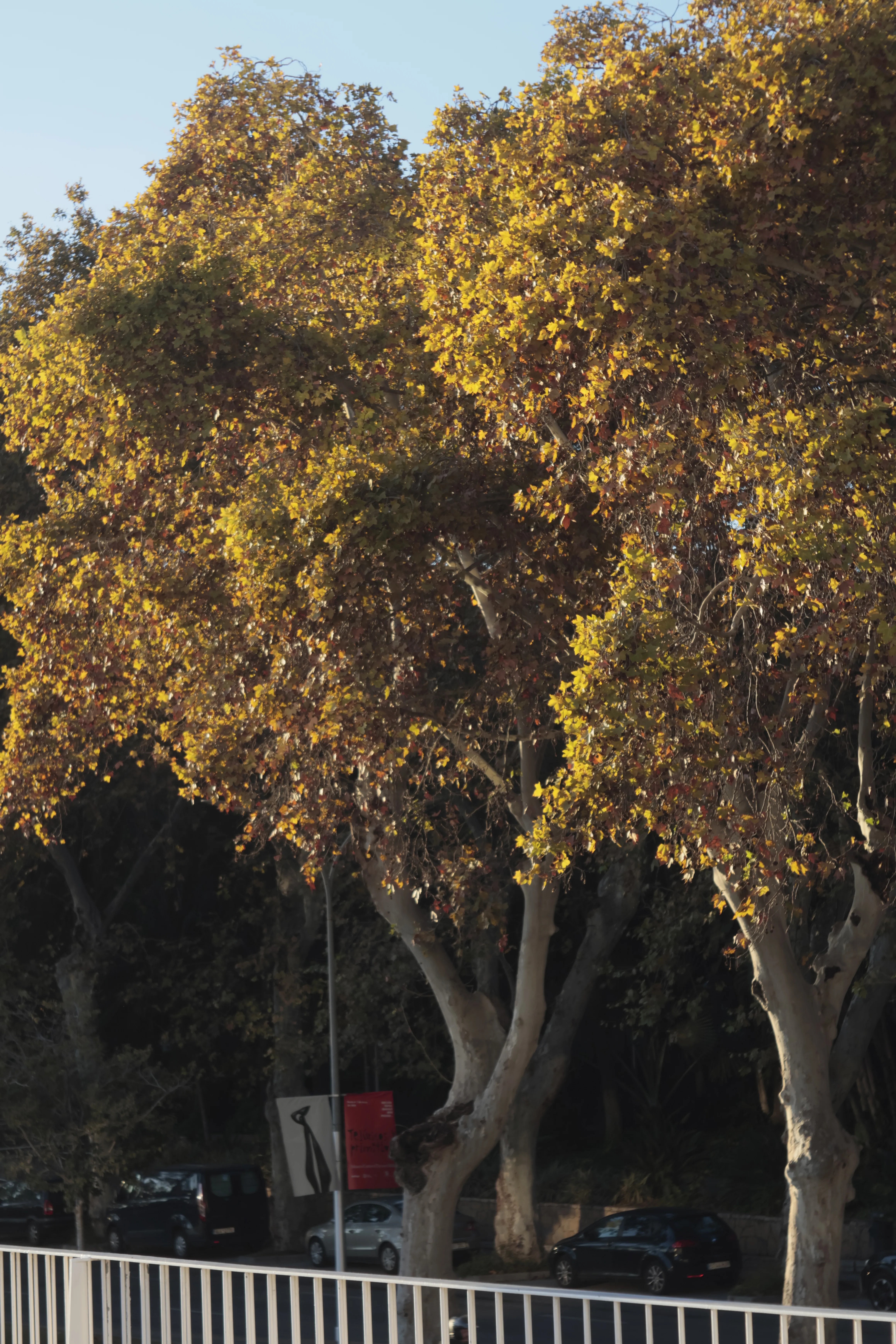 Industar-50-2 50mm f3.5 (M42) - _I4A1355.jpg